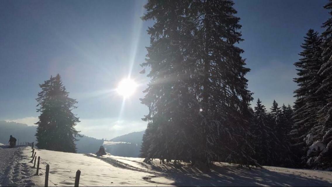 Route Des Joncs 300 Appartemen Les Paccots エクステリア 写真
