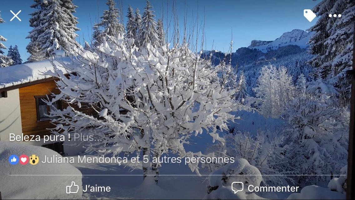 Route Des Joncs 300 Appartemen Les Paccots エクステリア 写真